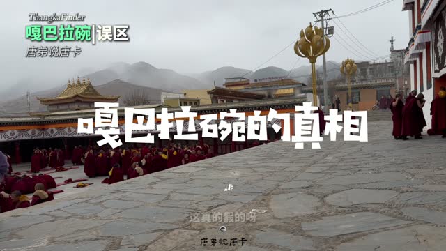 唐卡进入大展视频封面